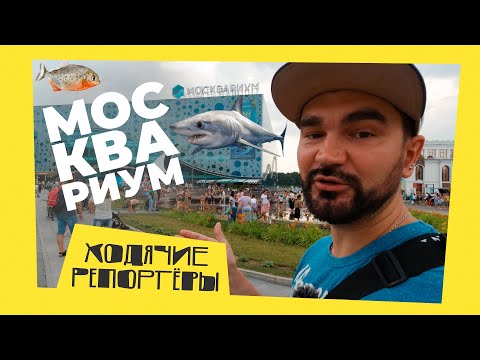 Самый крупный океанариум Москвы. Москвариум на ВДНХ. Ходячие Репортёры