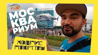 Самый крупный океанариум Москвы. Москвариум на ВДНХ. Ходячие Репортёры