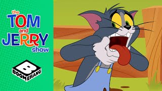 A Wild Pig Chase | Tom & Jerry Show | Boomerang UK