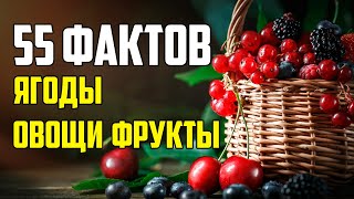 55 Фактов Про Ягоды, Фрукты И Овощи, В Которых Легко Запутаться