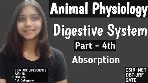Digestive System - Absoption Part 1st-ANIMAL PHYSIOLOGY CSIR-NET JRF LIFESCIENCE