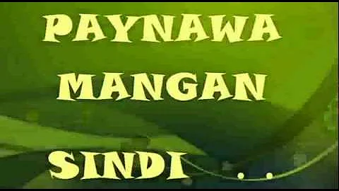 PAYNAWA MANGAN SINDI LYRICS - anne :]]