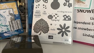 Hello Ladybug Product Spotlight