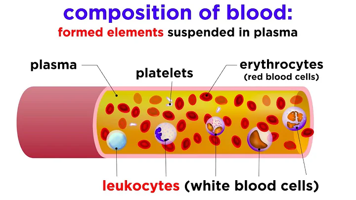 The Composition and Function of Blood - DayDayNews