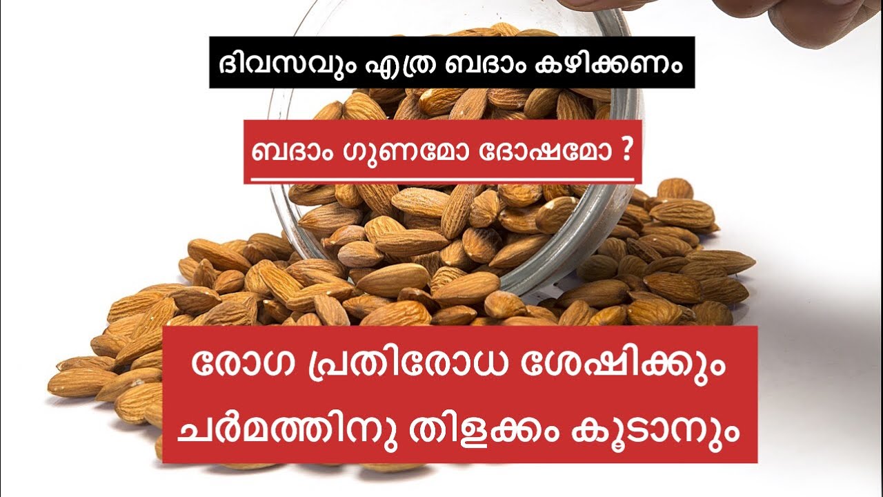 ബദാം കഴിക്കുന്നത് കൊണ്ടുള്ള ഗുണങ്ങൾ BADAM almonds Benefits of