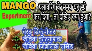 Best Organic Pesticides For Mango Tree | आम के पौधों पे जैविक दवाइयों का प्रयोग | Mango Farming