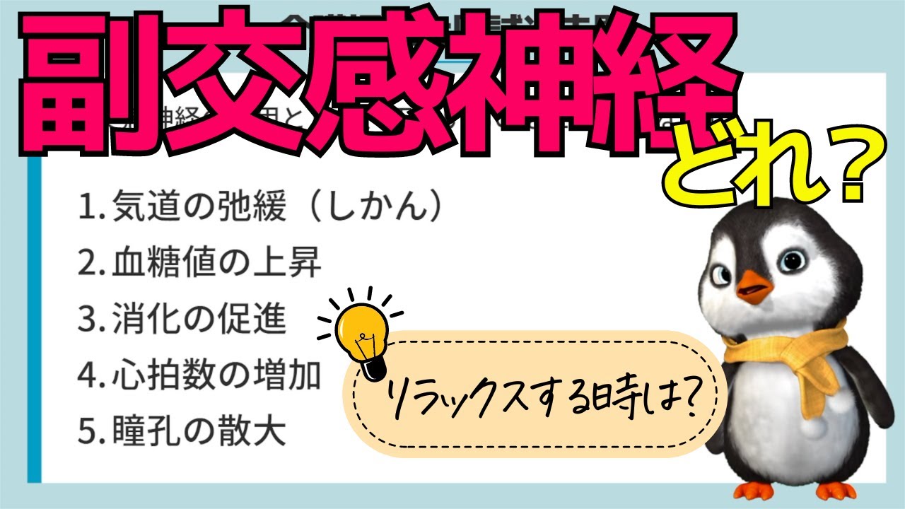 【介護福祉士国試対策】交感神経と副交感神経について分かりやすく解説します。