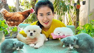 Cây Chổi Thần Kỳ Biến Ra Con Mèo Con Gà Con Chó - Giúp Changcady Tìm Lại Chó Con Part 51