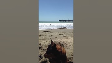Thumbnail of Surfing at Cayucos
