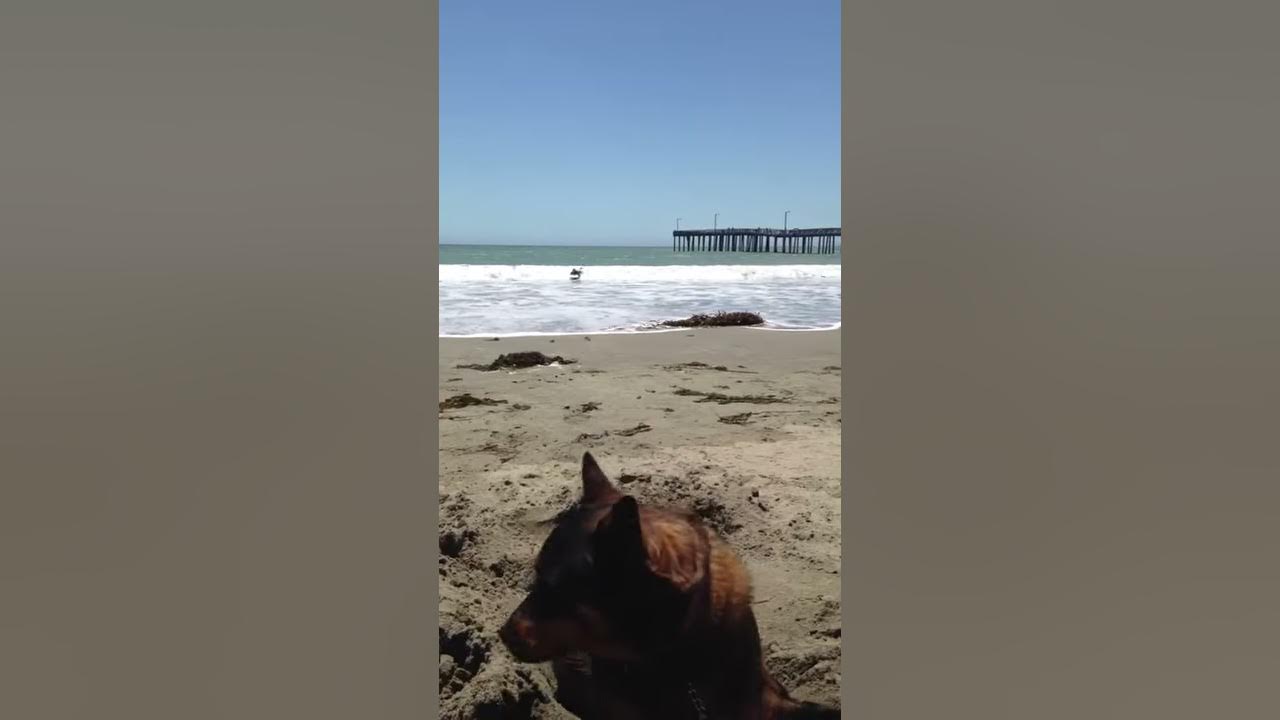 Surfing at Cayucos