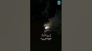{فَقُلْتُ اسْتَغْفِرُوا رَبَّكُمْ إِنَّهُ كَانَ غَفَّارًا} [10] سورة:نوح