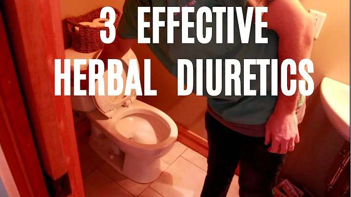 3 Effective Herbal Diuretics