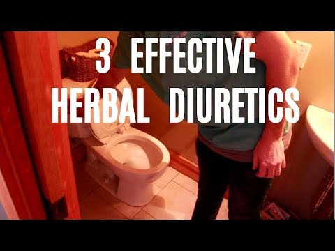 3 Effective Herbal Diuretics