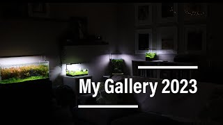 My Gallery 2023