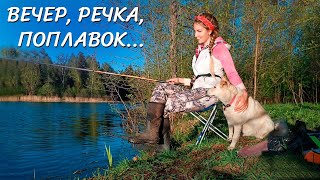 ДУШЕВНАЯ РЫБАЛКА на ПОПЛАВОК! С собаками за УКЛЕЙКОЙ на любимую речку