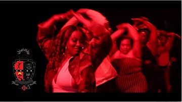 Delta Phi Delta Neophyte Presentation Documentary