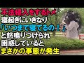 【スカッと】ベランダから不法侵入をするトメ。寝起きにいきなり「いつまで寝てるの！」と怒鳴りつけられ、困惑しているとまさかの事態が発生→結果（スカッと桜）