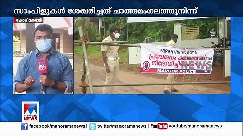 108 പേരുടെയും ഫലങ്ങള്‍ നെഗറ്റീവ്;  വവ്വാലുകളുടെ സ്രവ പരിശോധന ഫലം ഇന്നെത്തും |Nipah Virus