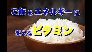 体幹トレーニング　ジュニアアスリート　ご飯をエネルギーに変えるビタミン