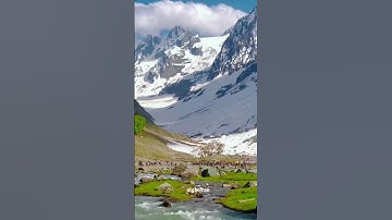 سورة النمل-وترى الجبال تحسبها جامدة وهي تمر مر السحاب|| القارئ ماهر المعيقلي #quran #قران_كريم #قرآن