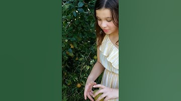 The Easy Way To Pick Pears🍐😄☀️