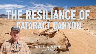 River Resilience at Cataract Canyon