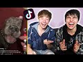 The Funniest Animal Tik Toks I've Found.. | Colby Brock