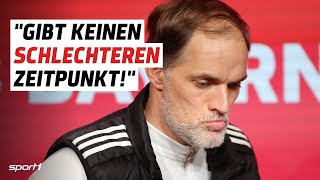 Thomas Tuchel legt gegen Uli Hoeneß nach 💥