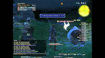 FFXIV - 13people Cedarwood Behest
