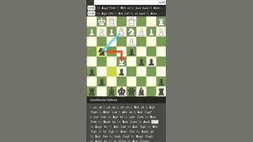 How I Turned a Lost Game Into a Win with Just a Few Pieces 😤♟️ #chess #skewed #checkmate #funny