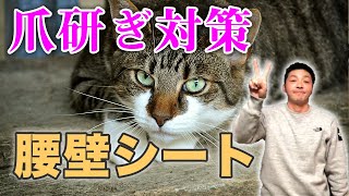 売り込みと言われようが猫の爪とぎ対策には腰壁シートが一番