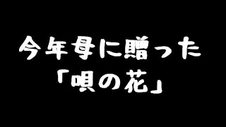 母の日（2021）に贈った「唄の花」