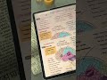 How to achieve Zoom Window 🔍🔍🔍 #studytips