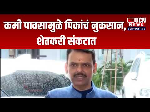 मुंबई - कमी पावसामुळे पिकांचं नुकसान, शेतकरी संकटात | MUMBAI