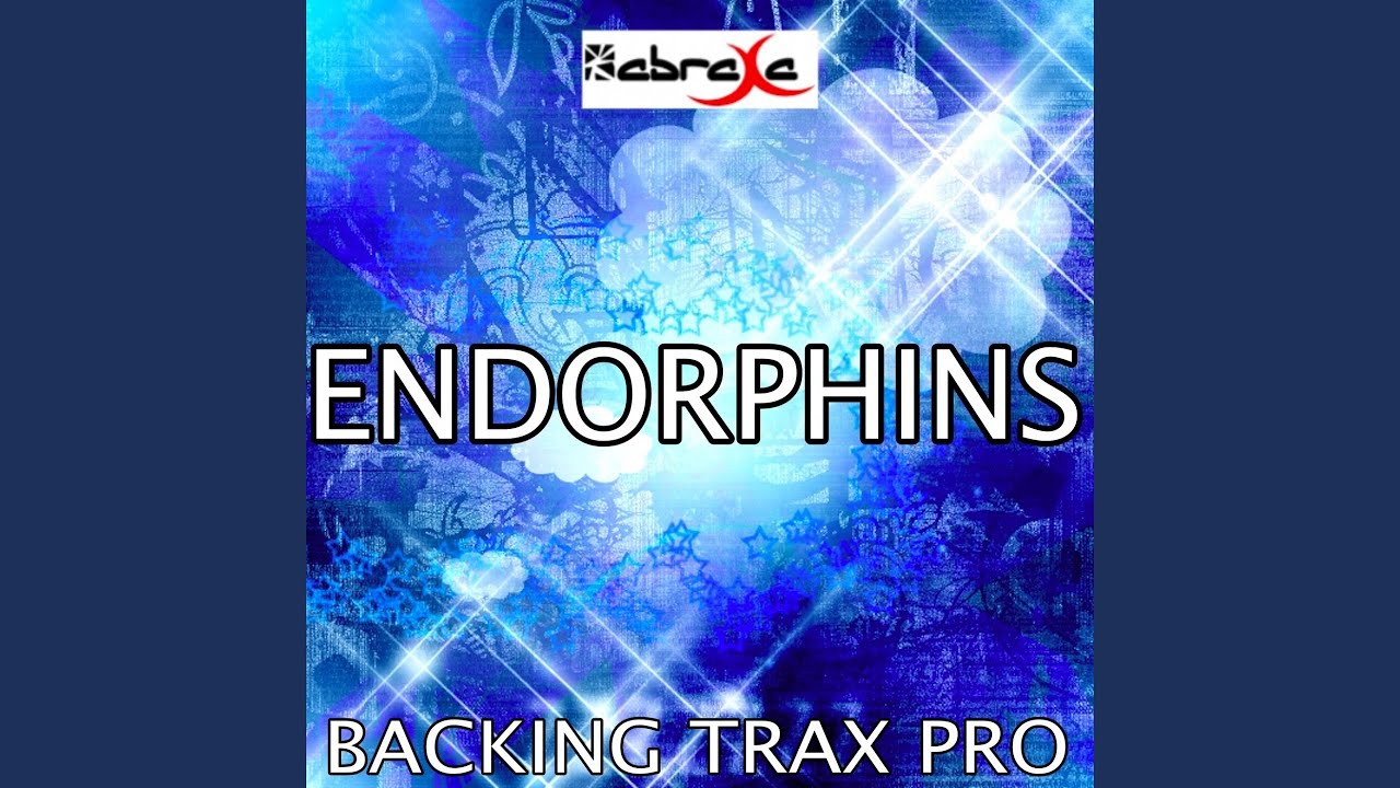 Endorphins (Karaoke Version) (Originally Performed by Sub Focus) 