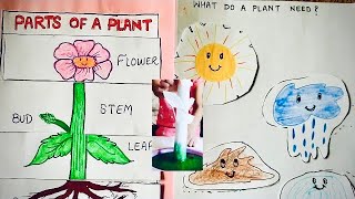 Parts of a Plant for kids, activities, games and working DEMONSTRATION!