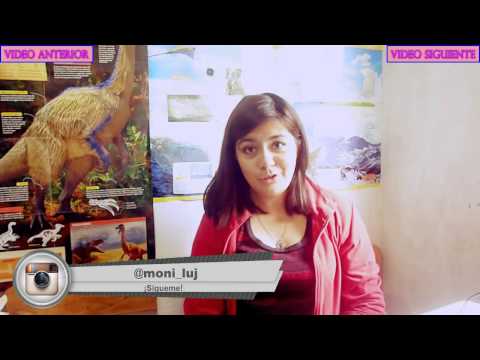 USO DE LAS TIC'S | CURSO HERRAMIENTAS TIC PARA DOCENTES.