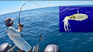 Florida Offshore Fishing - Lures Beat Live Bait Again!