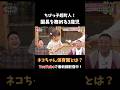 ネコちゃん保育園の園長を務める3歳児 #チョコサム #チョコプラ