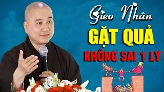 Đời Người Gieo Nhân Nào Gặt Quả Nấy Luật Nhân Quả Không Chừa Một Ai _ Thầy Thích Pháp Hoà