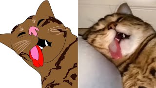 Cat Memes | Skibidi Toilet Cat and Funniest Dogs | Funny Animals | Trending | Part 2