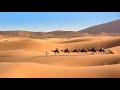 Did u know the Sahara isn't the biggest Desert? #shorts #sharara #funfacts #dailyfacts #mustwatch
