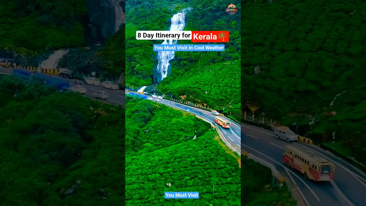 8-Days Kerala Itinerary 🌴 | Budget Trip Plan 🏝️ | God’s Own Country Travel Guide 🇮🇳 #shorts