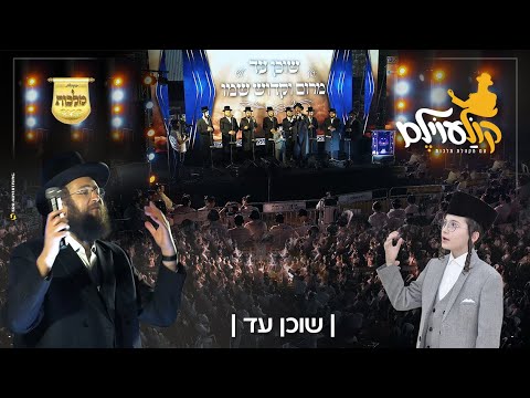 מקהלת מלכות, ילד הפלא בנצי קלצקין - שוכן עד - ווקאלי - קוֹלַעוֹילֶם | Malchus Choir