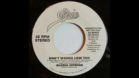 Don't Wanna Lose You - Gloria Estefan(Áudio)