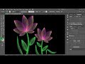 How to Create a Wire Frame Flower in Adobe Illustrator