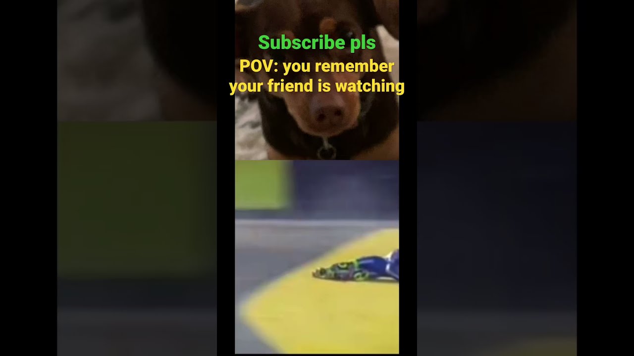 You Remember Your Friend Is Watching