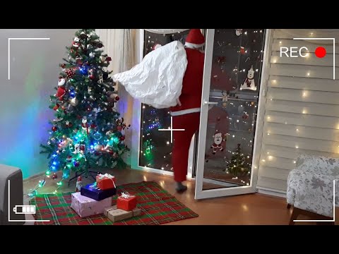 Video: NYC'de Gerçek Bir Noel Ağacı Nereden Alınır