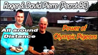 Roger & David Pierre (Pecrot, BE) Power of Olympic pigeons / ALL around Distance