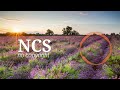 Spektrem - Shine | ProgressiveHouse | NCS - Copyright Free Music ‎@NoCopyrightSounds